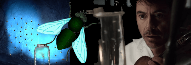 Robert Downey Sherlock Holmes fly collector