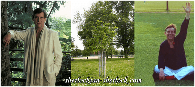 Jeremy Brett memorial tree